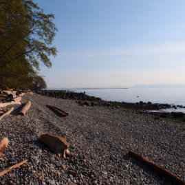 Vancouver Outdoor Tour